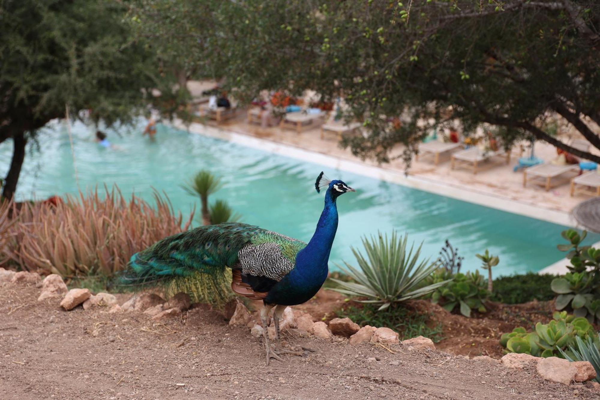 Paradis Nomade Azrarag Εξωτερικό φωτογραφία
