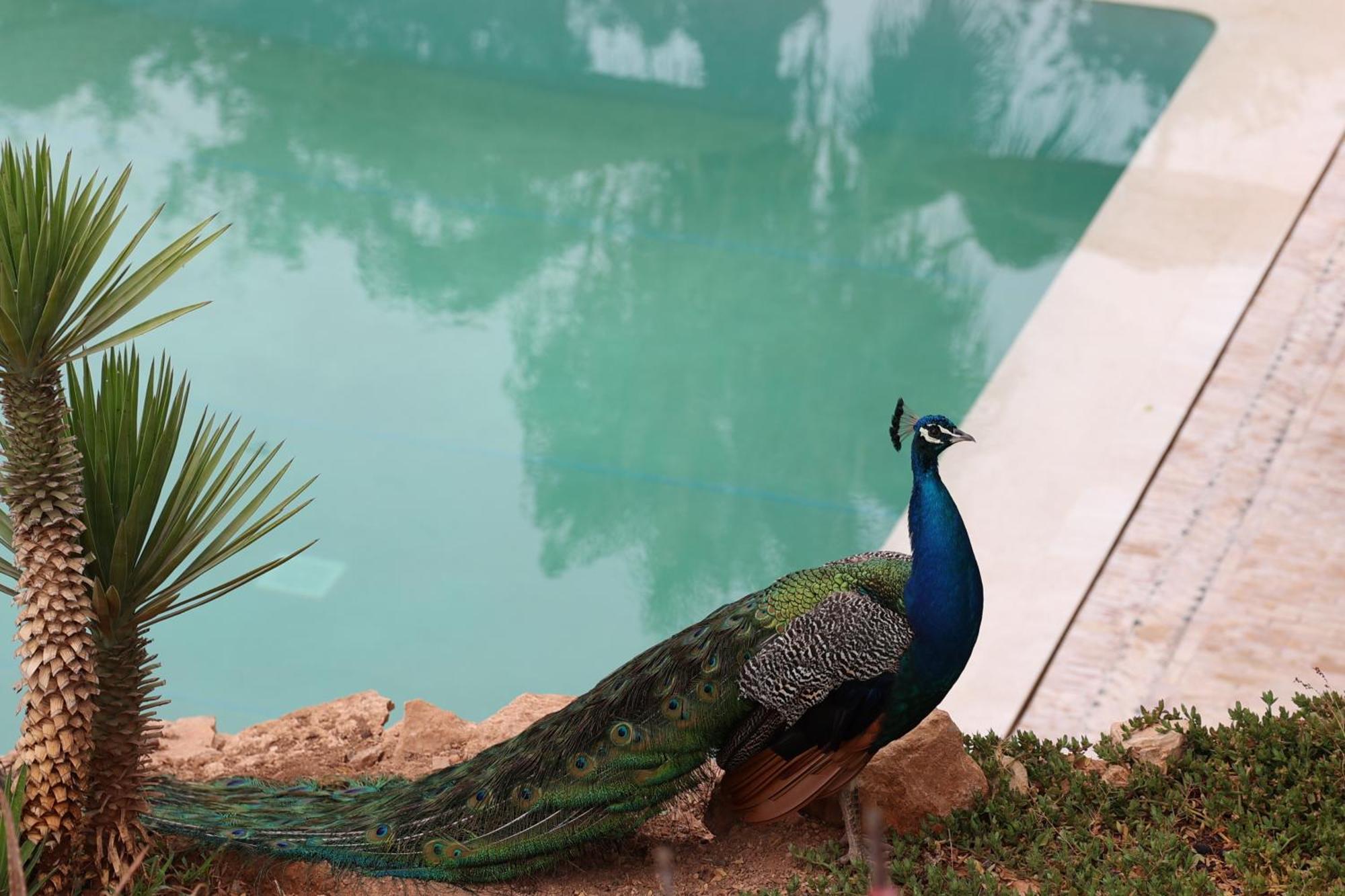 Paradis Nomade Azrarag Εξωτερικό φωτογραφία